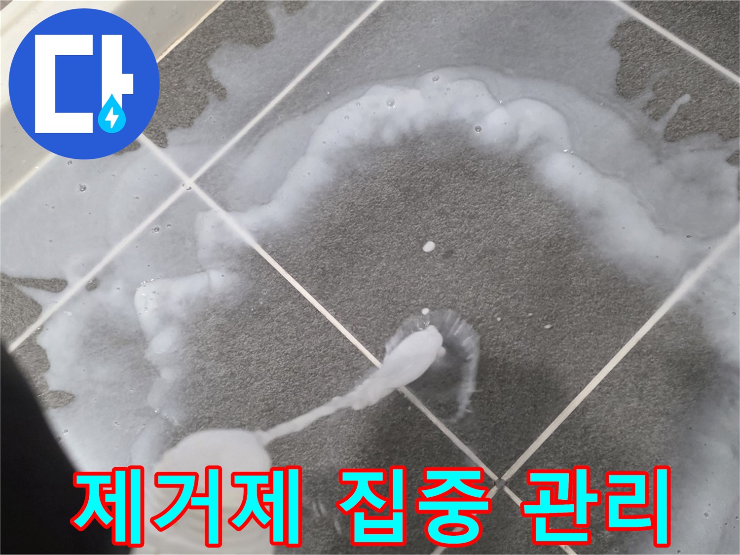 파주시 동패동 e편한세상 운정 어반프라임 욕실 - 곰팡이 제거제 꼼꼼하게 집중 관리하는 모습