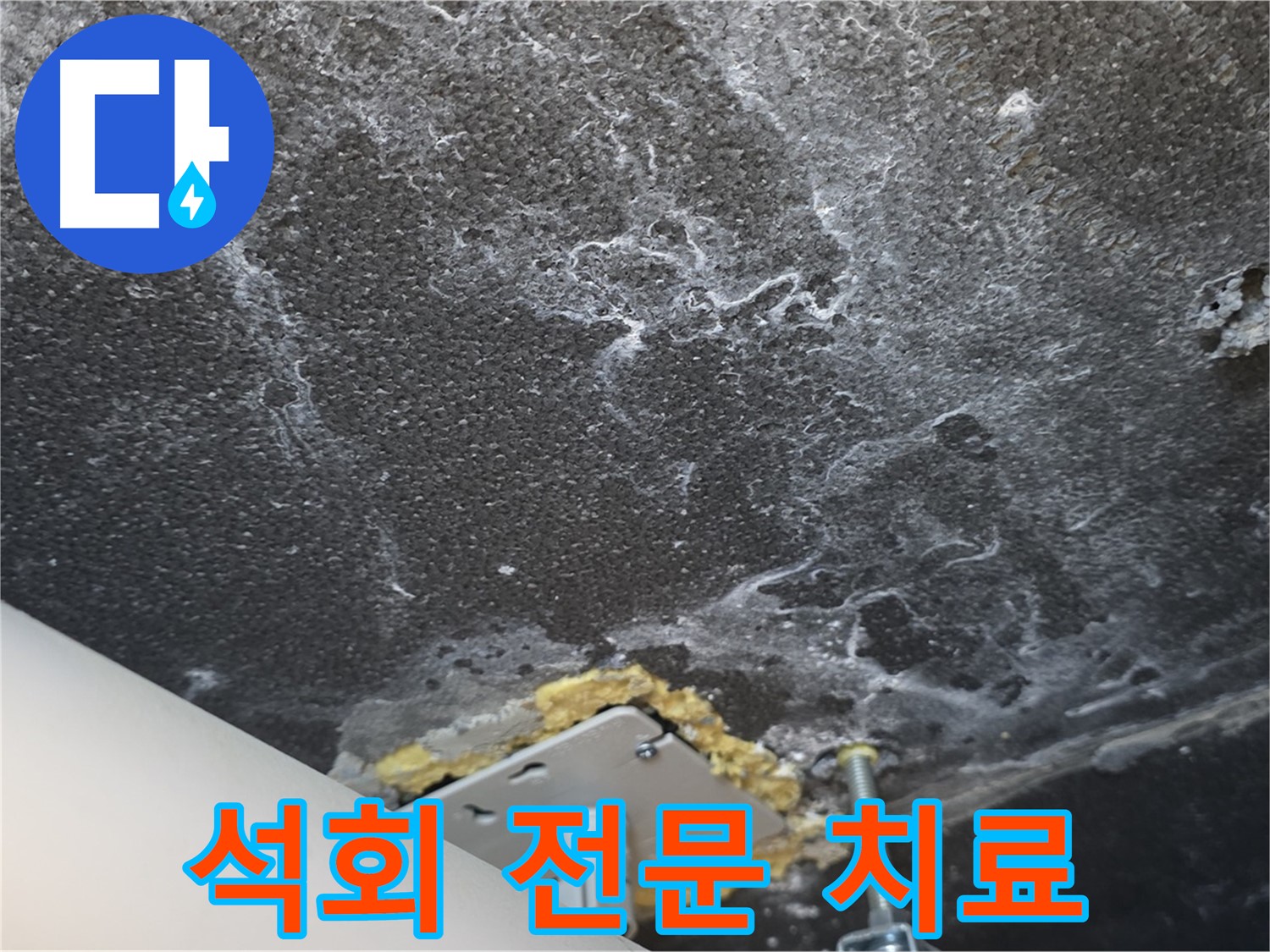 파주시 동패동 누수 - 석회 전문 치료 및 재발 방지 시공