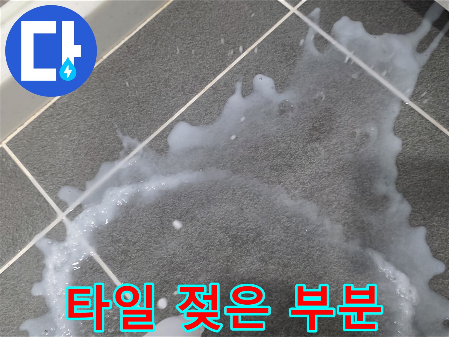 파주시 동패동 운정어반프라임 1201동 아파트 타일 젖은 부분 - 누수탐지 전문 업체가 초기 누수 진단과 책임감 있는 시공으로 문제를 해결합니다.