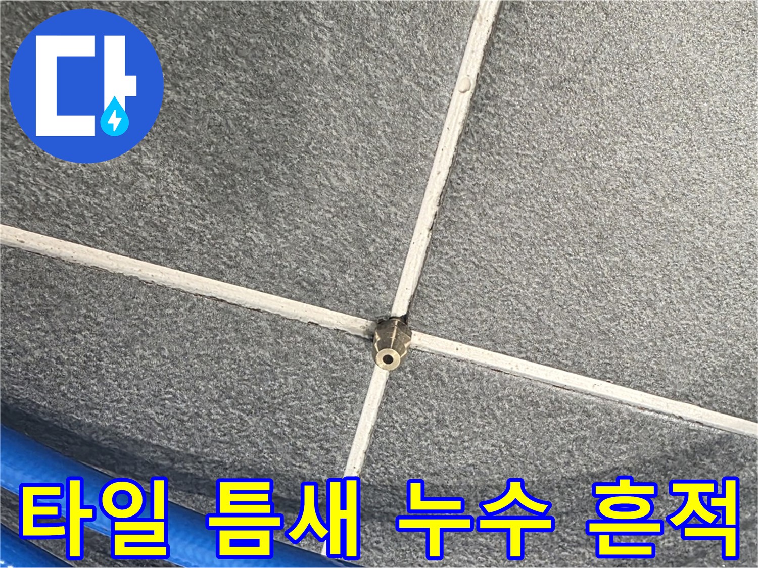 파주시 동패동 운정어반프라임 아파트 누수 - 타일 틈새에 나타난 누수 흔적을 발견했습니다.