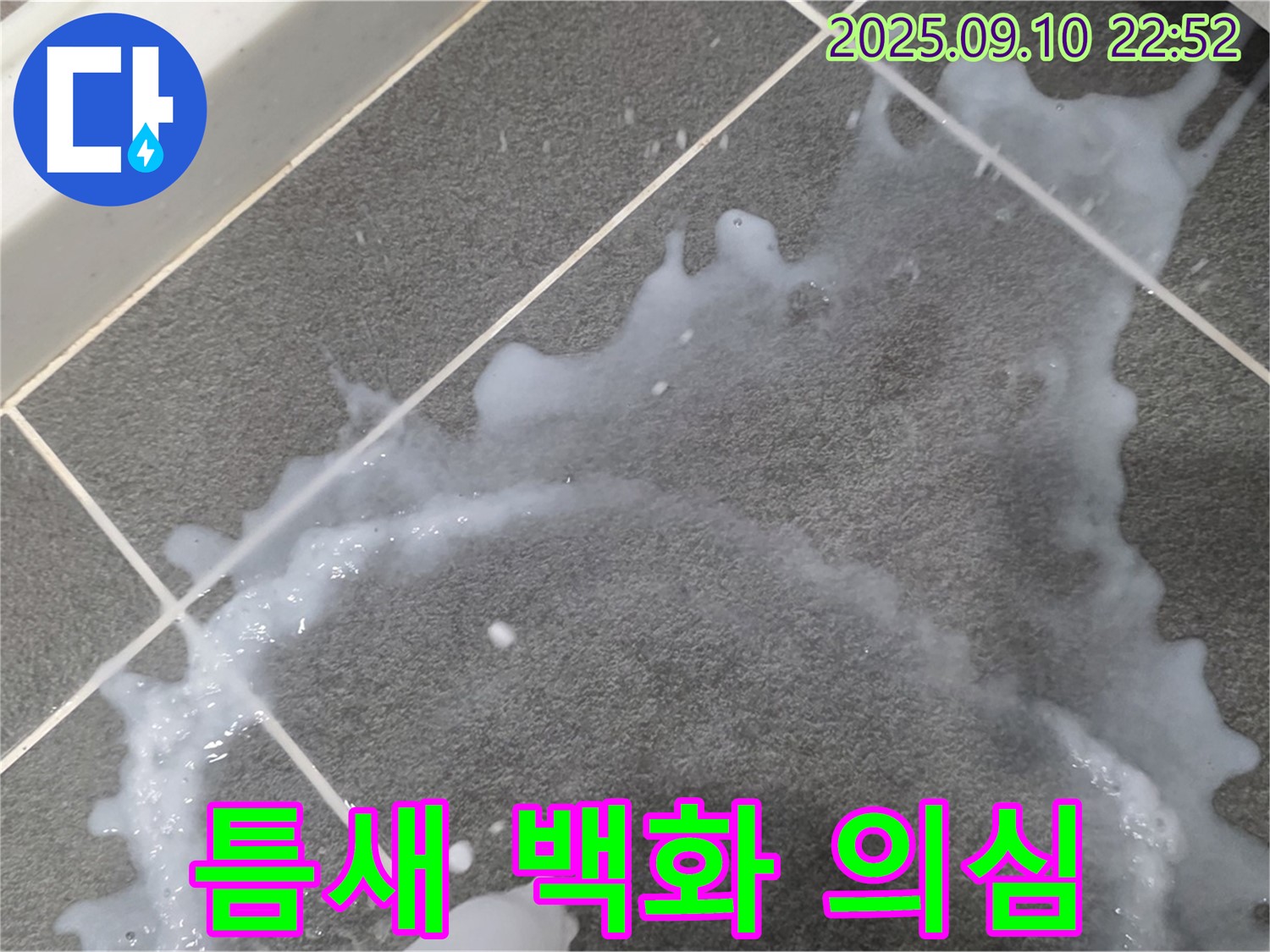 파주시 동패동 운정어반프라임 아파트 - 타일 틈새 백시멘트 오염과 백화 현상 누수 의심 - 복합적인 문제가 발생했습니다.