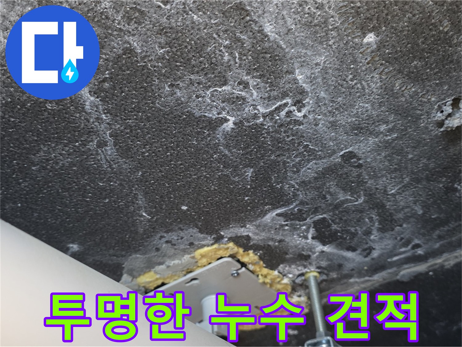 파주시 동패동 천장 누수 - 투명하고 합리적인 견적 제공