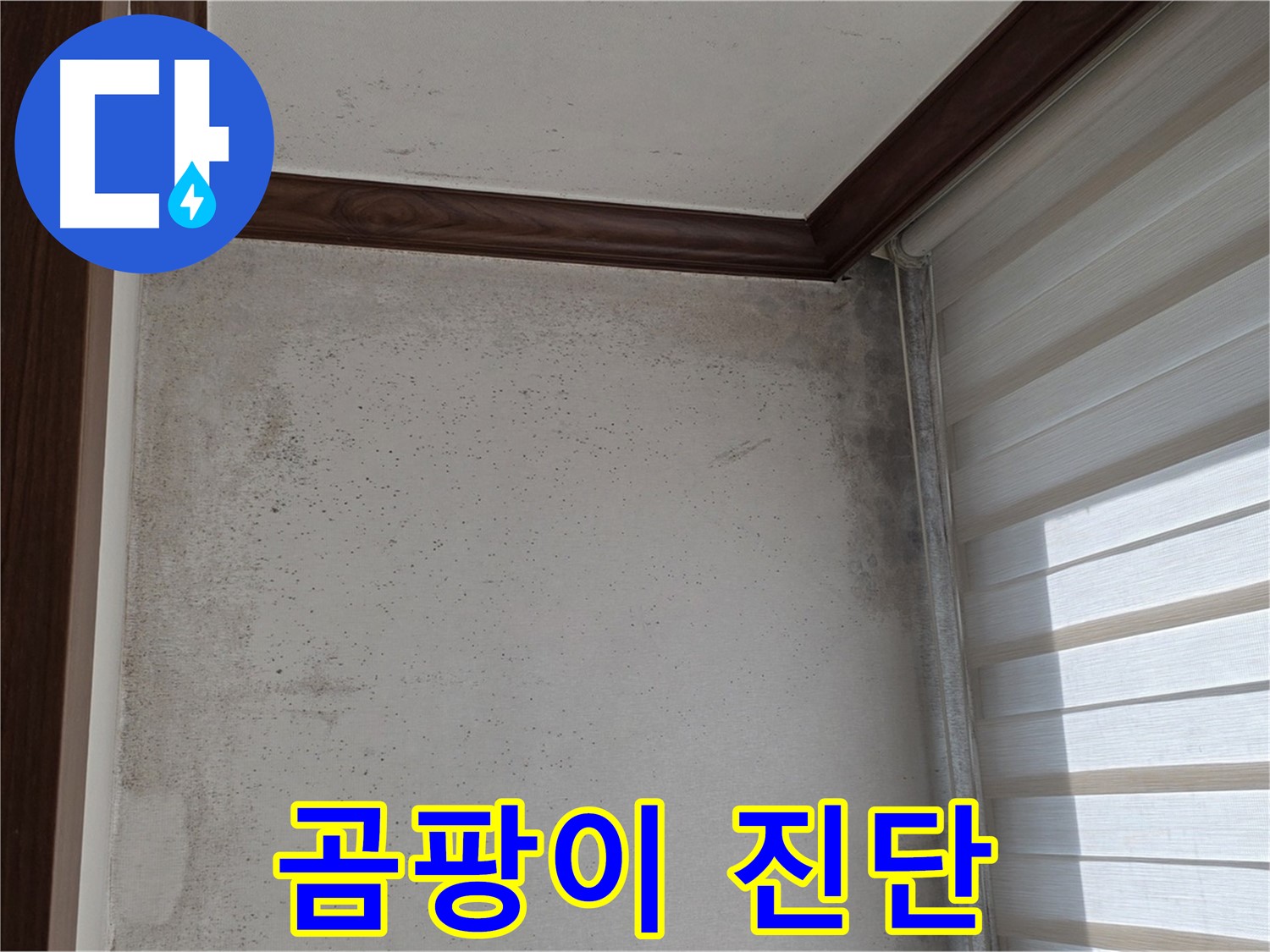 노원구 중계동 현대5차 곰팡이 누수 - 원인 진단부터 완벽 해결 책임 시공
