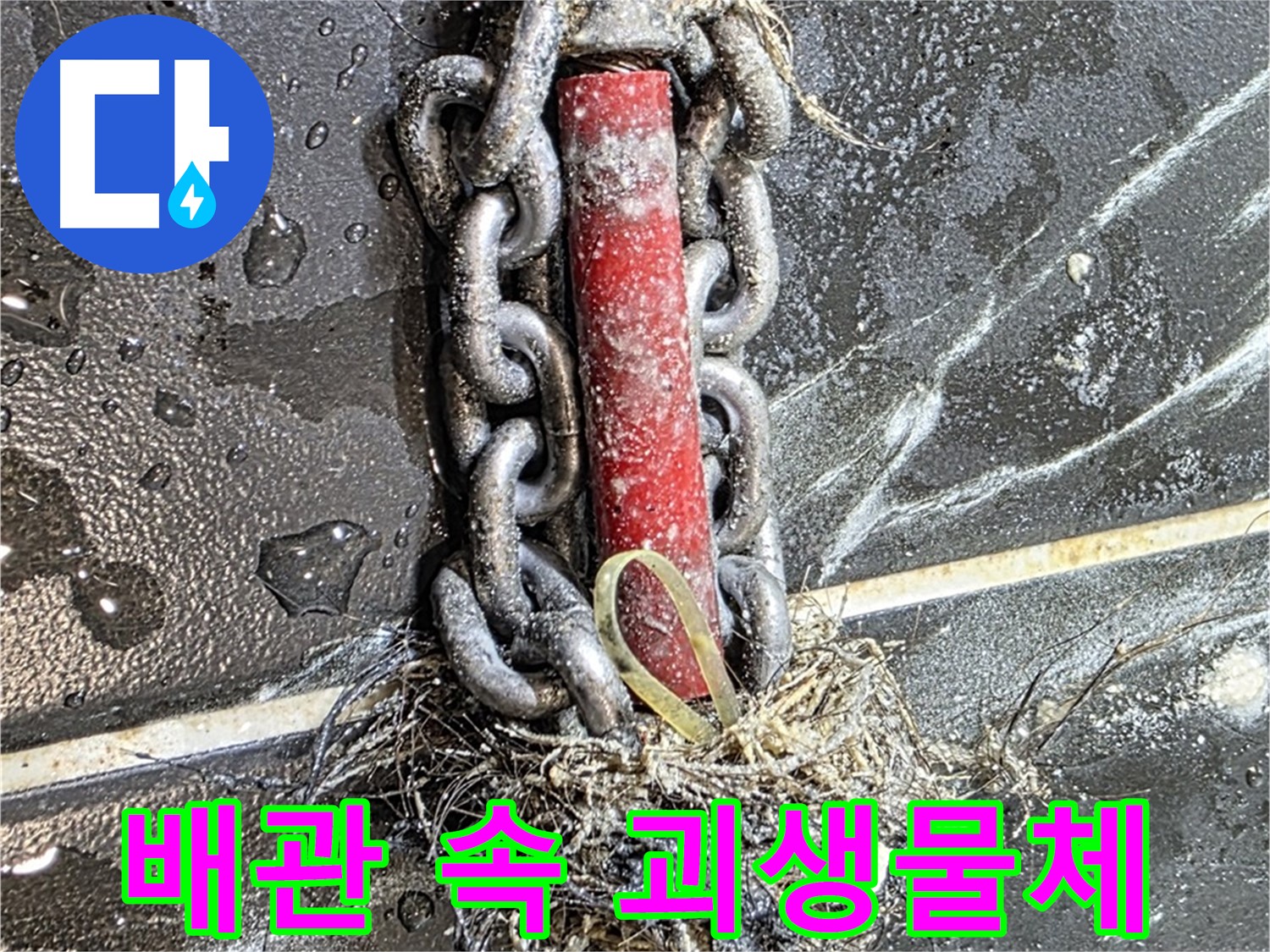 노원구 중계동 현대5차 아파트 누수 - 배관 속에서 발견된 '괴생물체' 같은 이물질