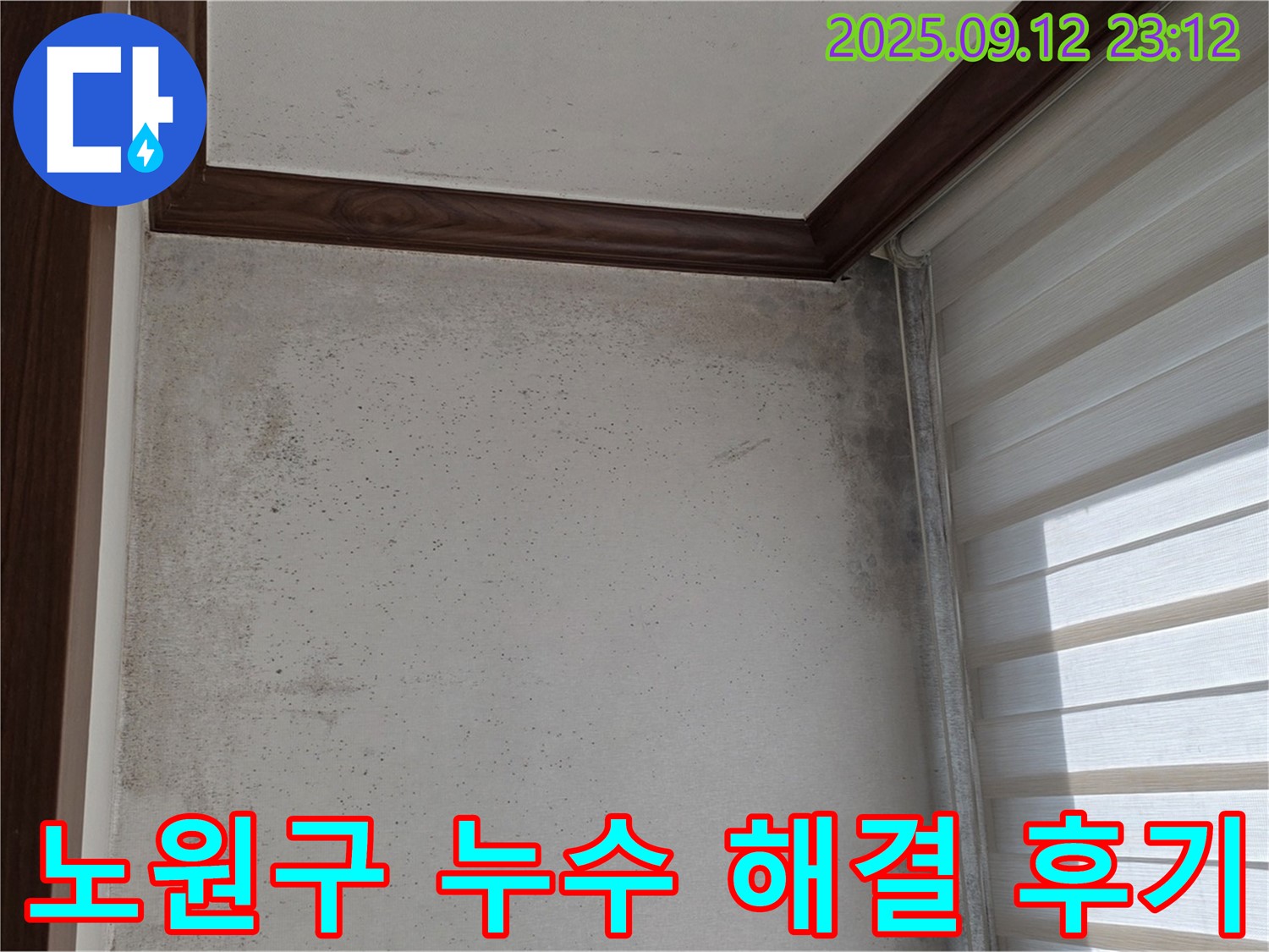 노원구 중계동 현대5차 아파트 누수 해결 후기 - 곰팡이 문제까지 완벽하게 해결한 과정을 공개합니다.