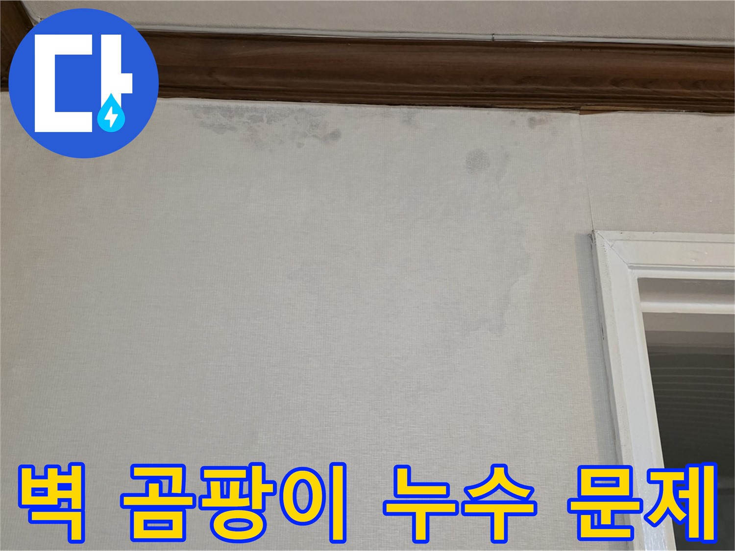 노원구 중계동 현대5차 아파트 벽 곰팡이 문제 - 누수탐지를 통한 원인 해결 과정 소개