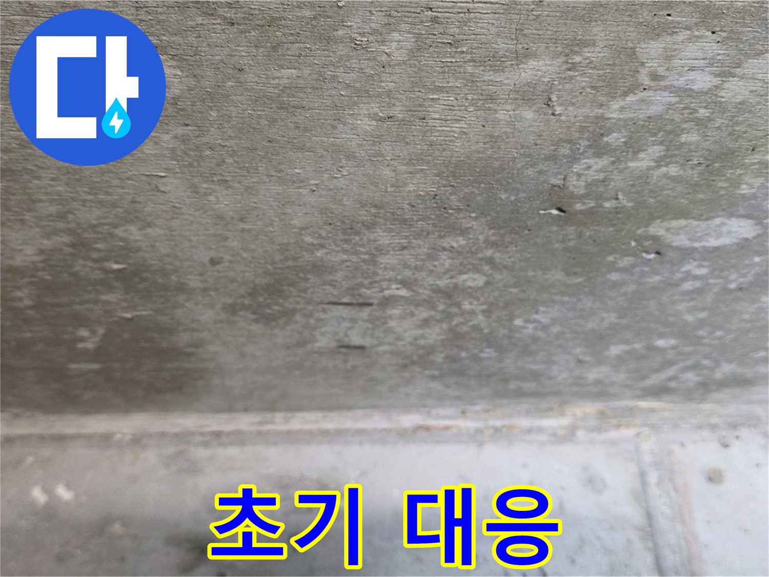 노원구 중계동 현대5차 아파트 콘크리트 천장 누수 - 초기 대응 중요 - 골든 타임을 놓치지 마세요.
