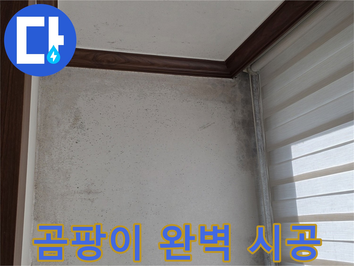 중계2동 현대5차 곰팡이 누수 - 완벽한 시공, 확실한 결과 보장