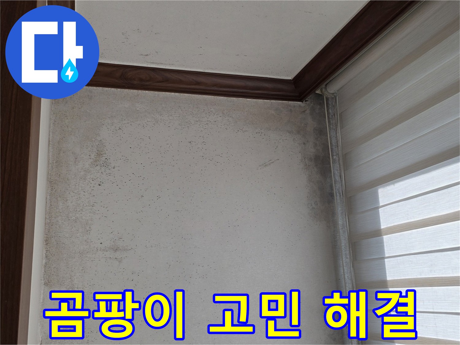 중계2동 현대5차 아파트 곰팡이 누수 - 고민 해결, 완벽 시공 약속