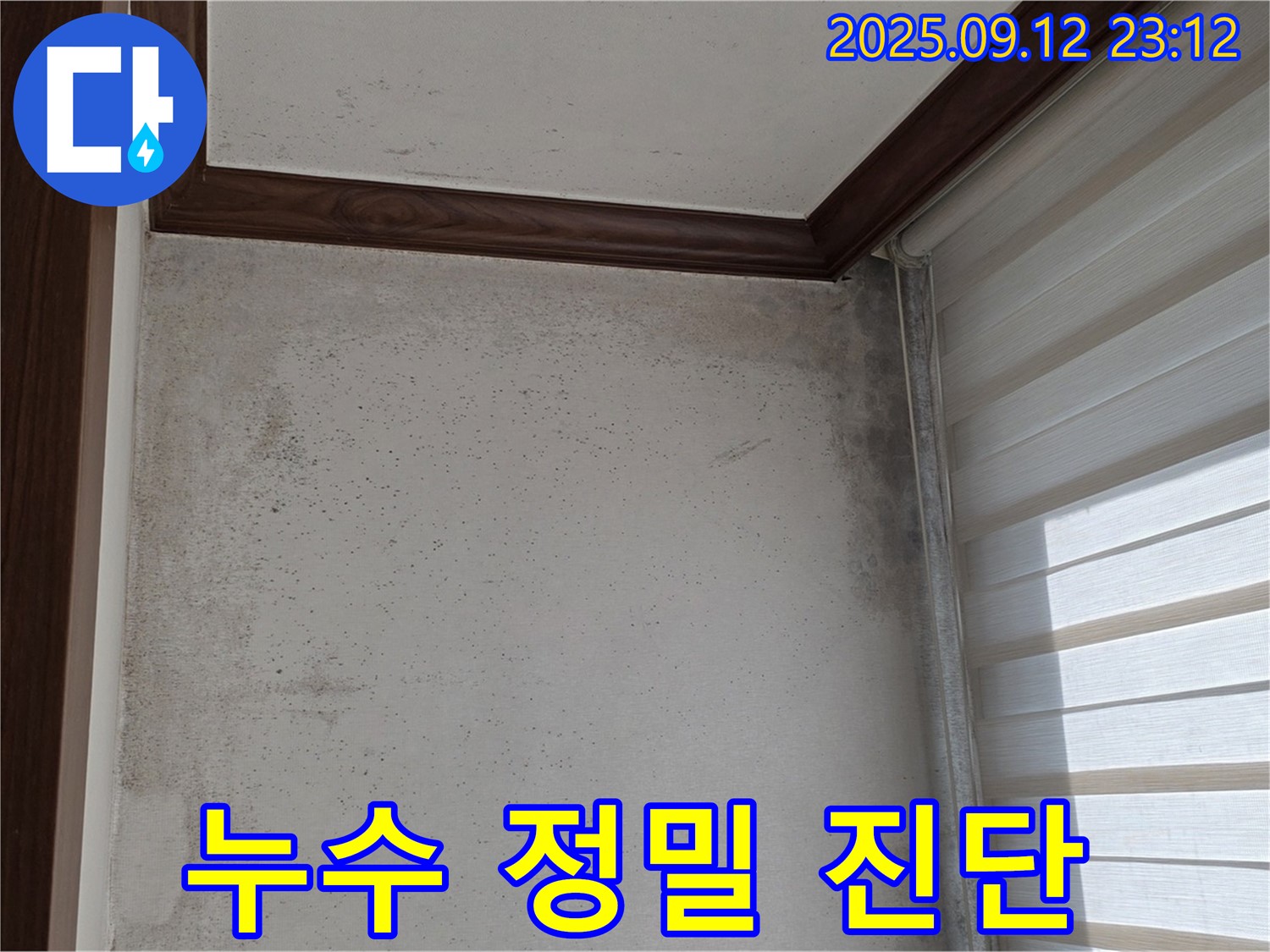 중계동 현대5차 211동 아파트 누수 현장 - 곰팡이 문제 해결을 위한 누수 탐지 전문가의 정밀 진단 모습