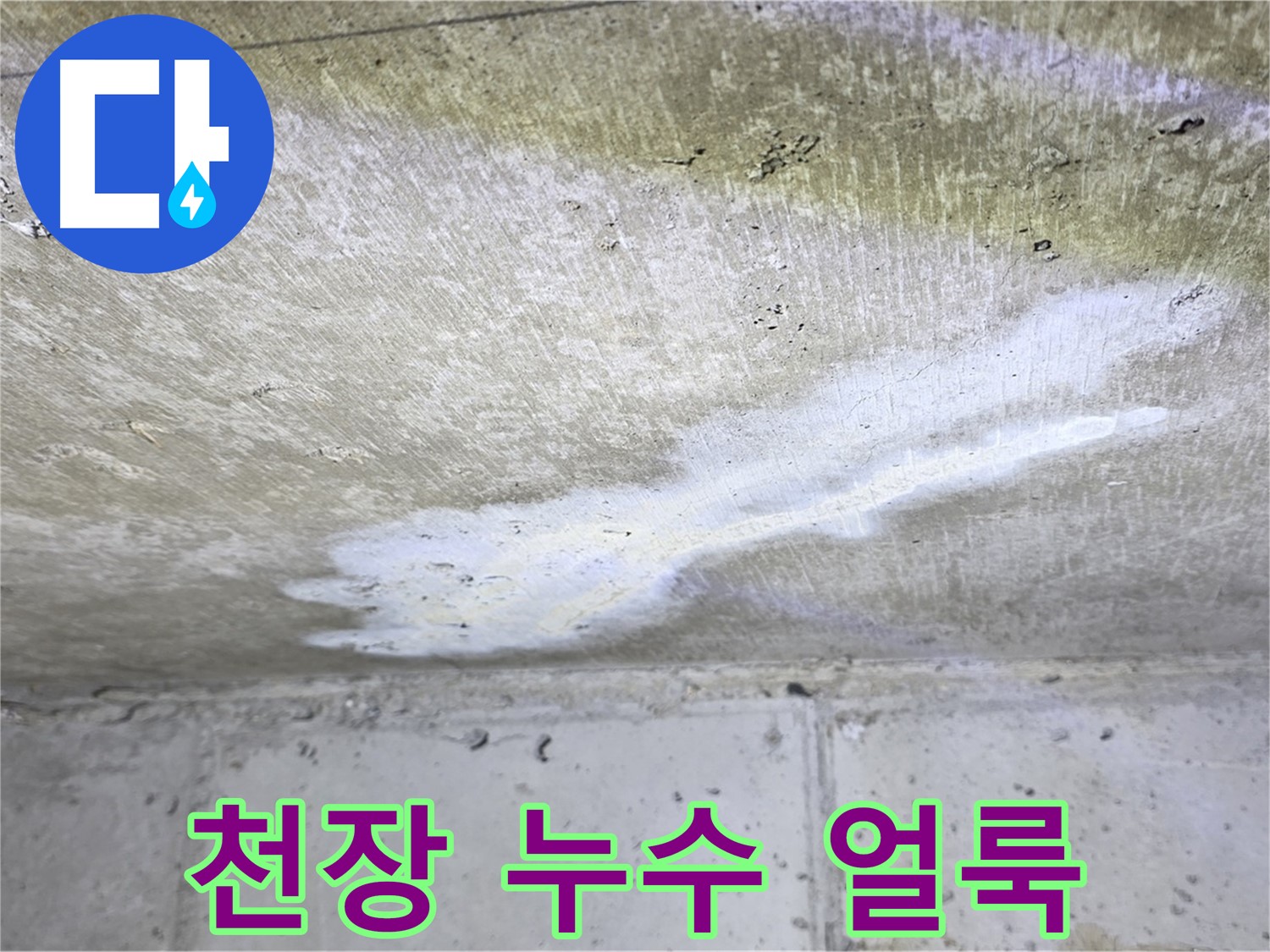 중계동 현대5차 211동 천장 누수 얼룩 - 누수 위치 및 범위 확인