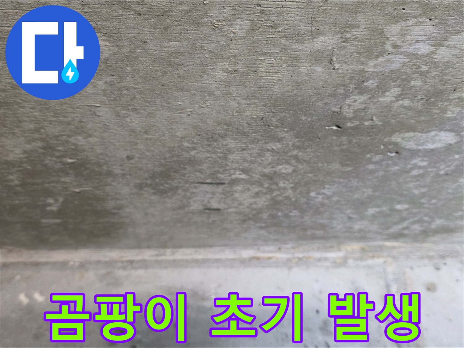 중계동 현대5차 211동 콘크리트 천장 누수 - 곰팡이 발생 초기 단계 - 빠른 조치가 필요합니다.