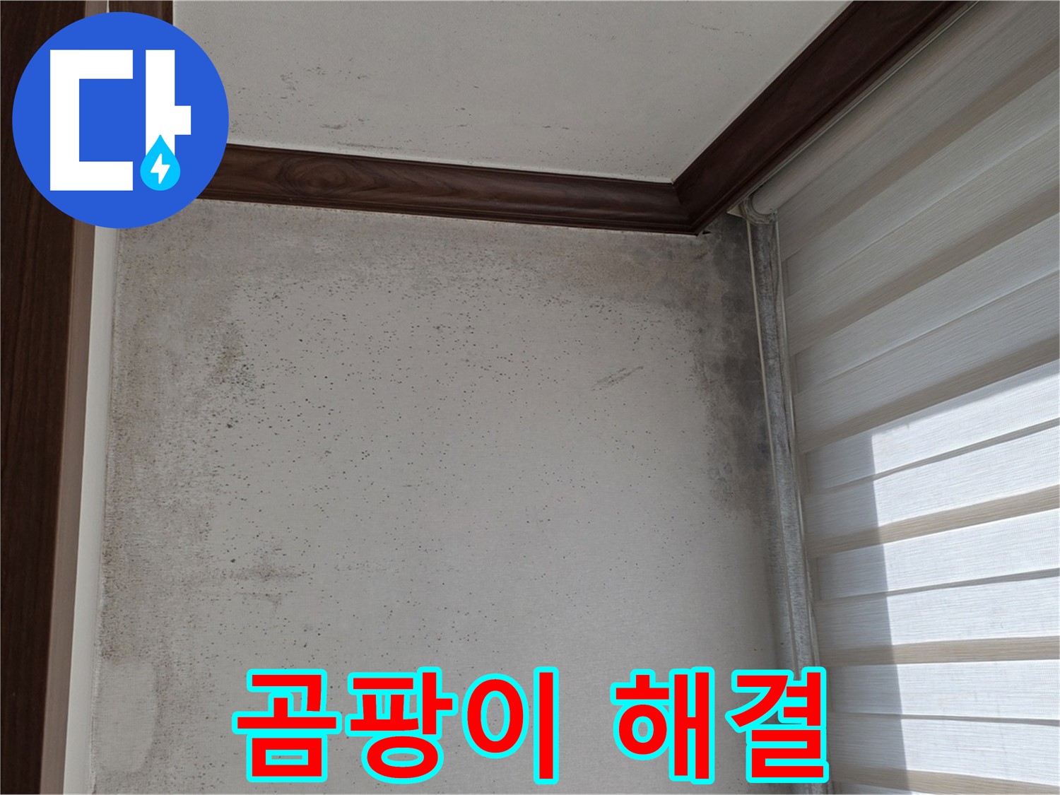 중계동 현대5차 아파트 곰팡이 누수 - 쾌적한 공간으로 변신