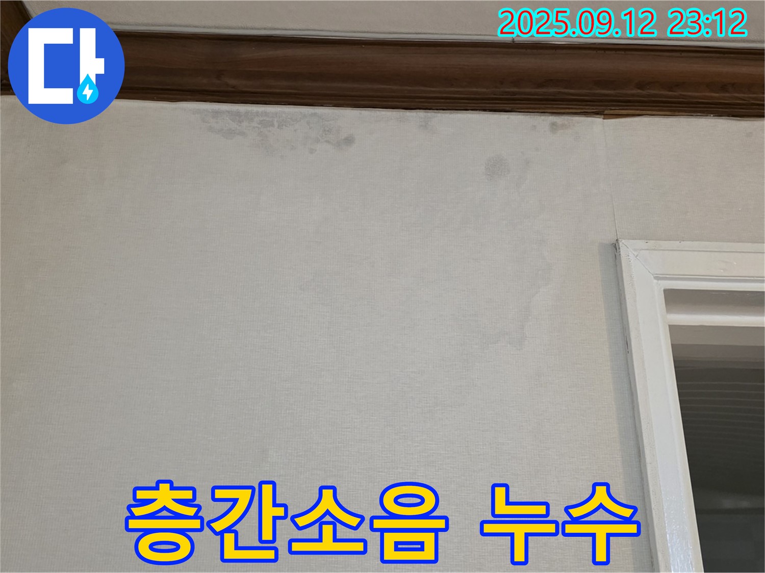 중계동 현대5차 아파트 벽 누수 - 층간소음 유발, 원인 해결 시급