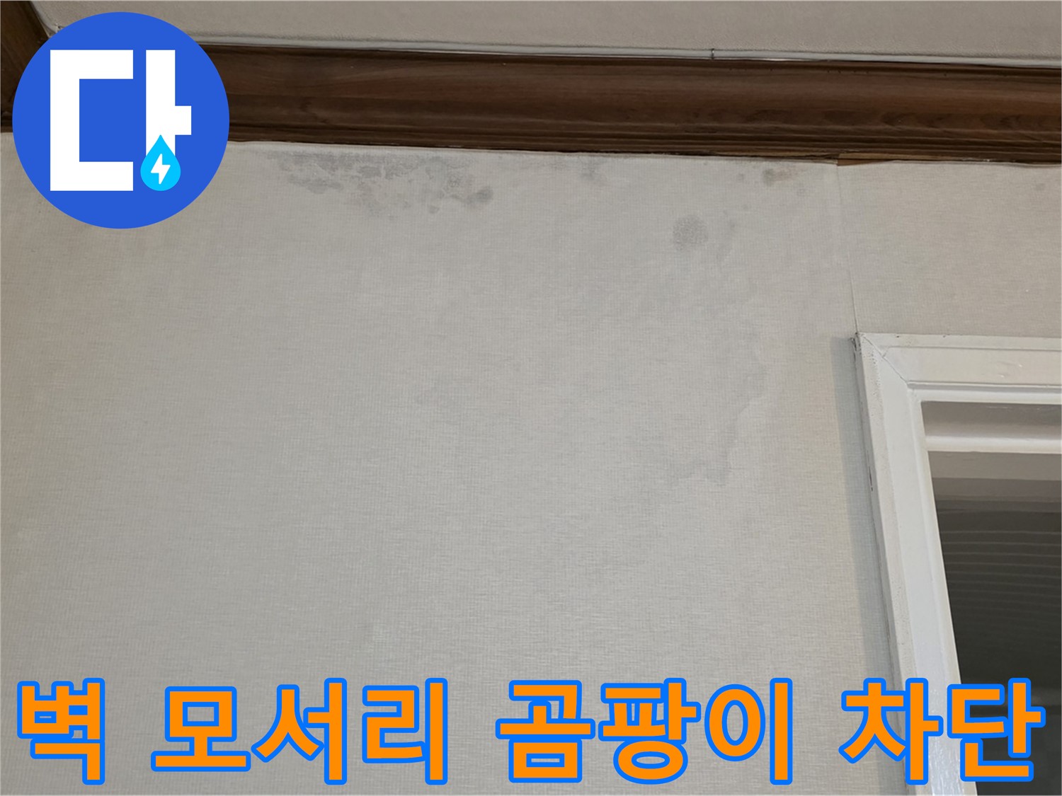 중계동 현대5차 아파트 벽 모서리 곰팡이 - 완벽한 누수 차단 공사