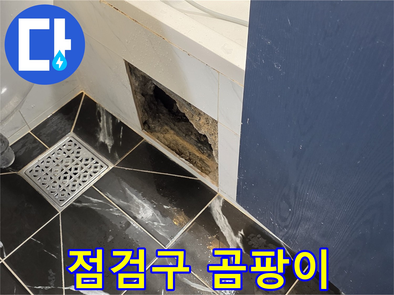 중계동 현대5차 아파트 - 욕실 점검구 내부 곰팡이 발생