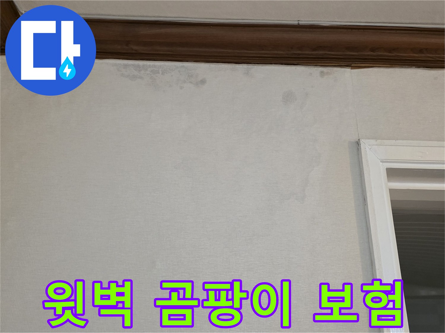 중계동 현대5차 아파트 윗벽 곰팡이 - 누수 보험 처리 대행