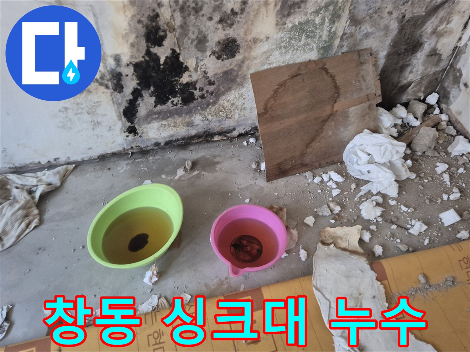 도봉구 창동 덕릉로54가길 누수 현장 - 싱크대 아래 바닥에 물이 고여있고 곰팡이가 핀 모습 - 악취와 해충 발생의 원인이 되는 주방 누수입니다.