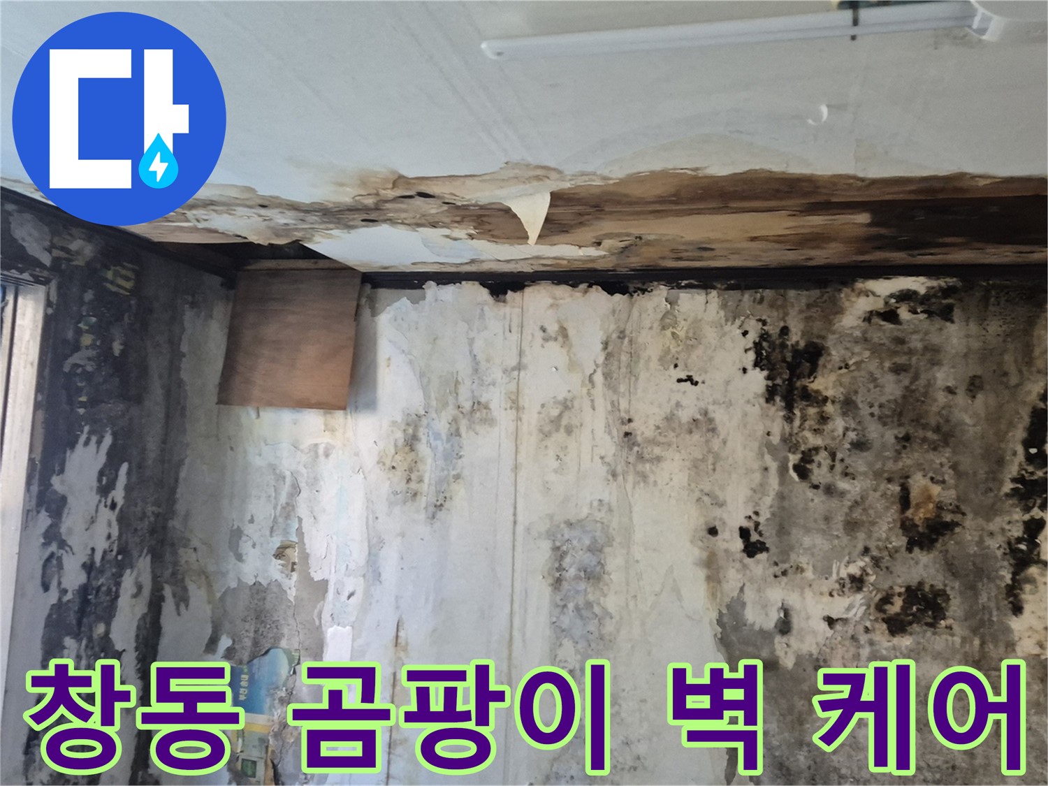 도봉구 창동 주택의 곰팡이로 가득한 벽 - 누수 해결과 함께 완벽하게 케어하는 과정을 담았습니다.