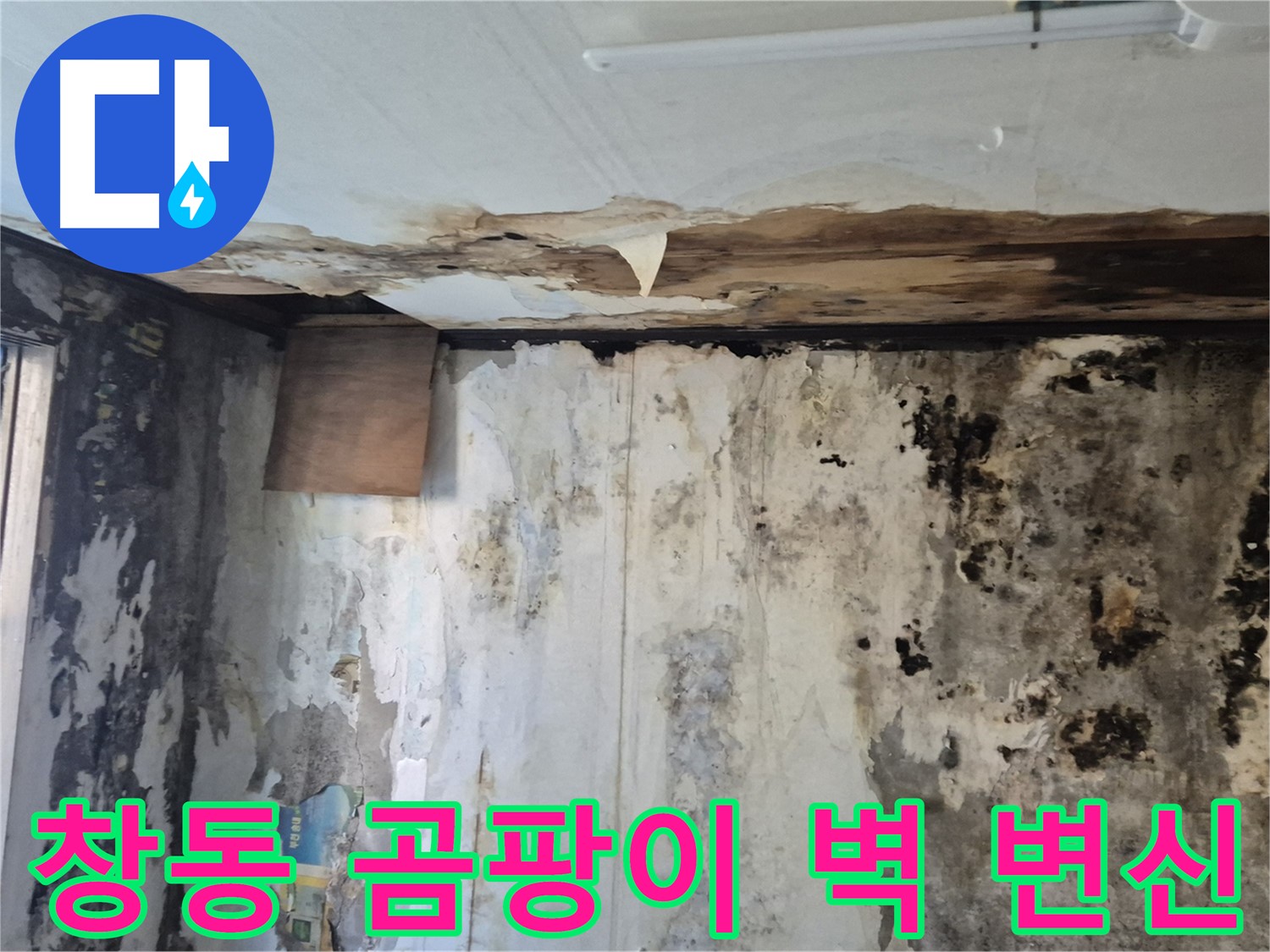 창동 주택의 곰팡이 핀 벽면 - 누수 해결과 함께 새롭게 변신한 모습입니다.