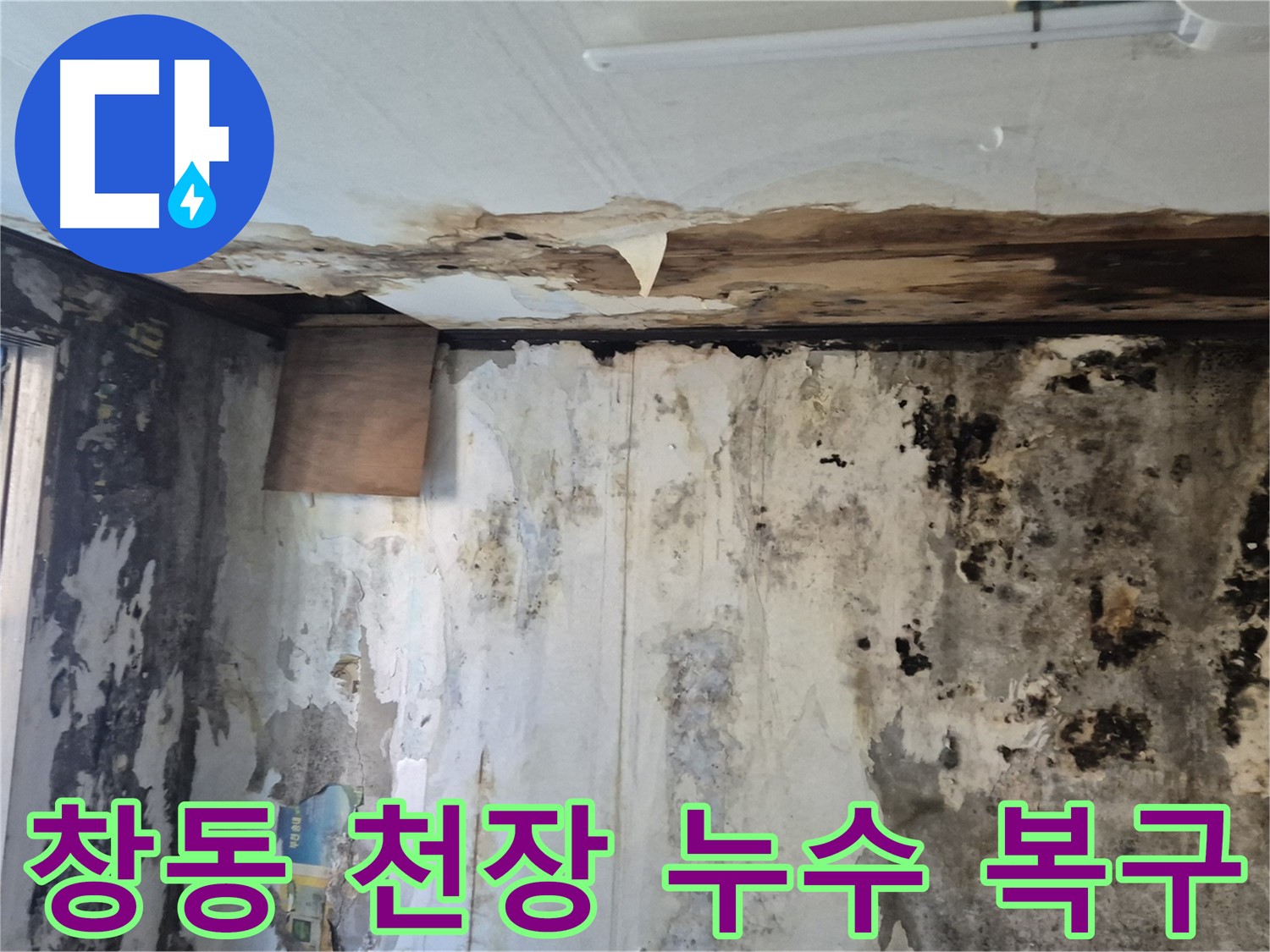 창동 주택의 천장 누수 복구 과정 - 누수 원인 진단부터 완벽한 시공까지 꼼꼼하게 담았습니다.