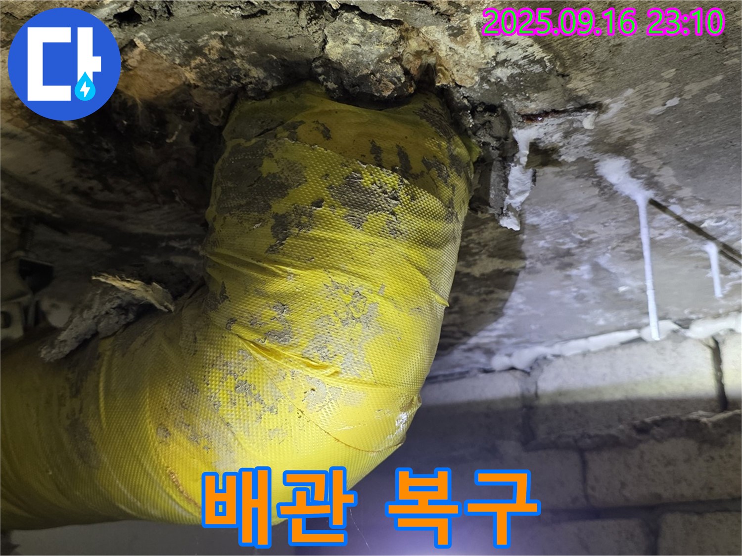 곰팡이와 오염으로 뒤덮인 하수 배관을 깨끗하게 복구한 모습 - 쾌적한 환경을 되찾았습니다.