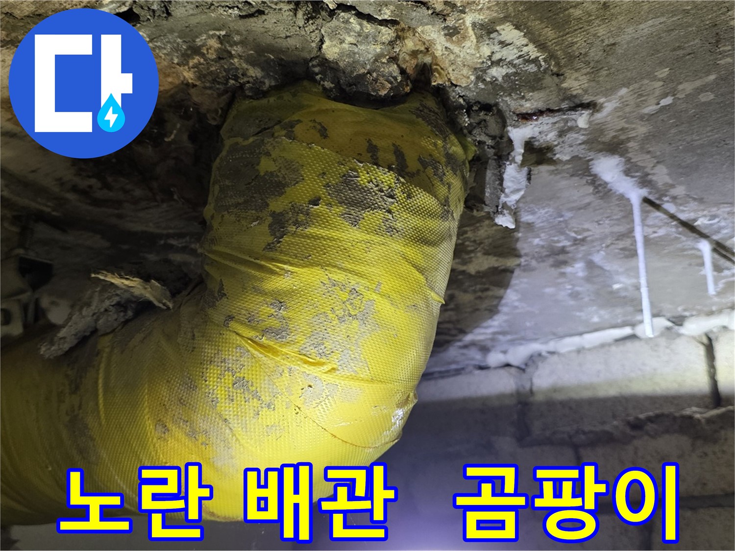 노란 배관의 절규, 곰팡이와 악취 - 서울 은평구 신사동 새절역 인근 누수 긴급 해결