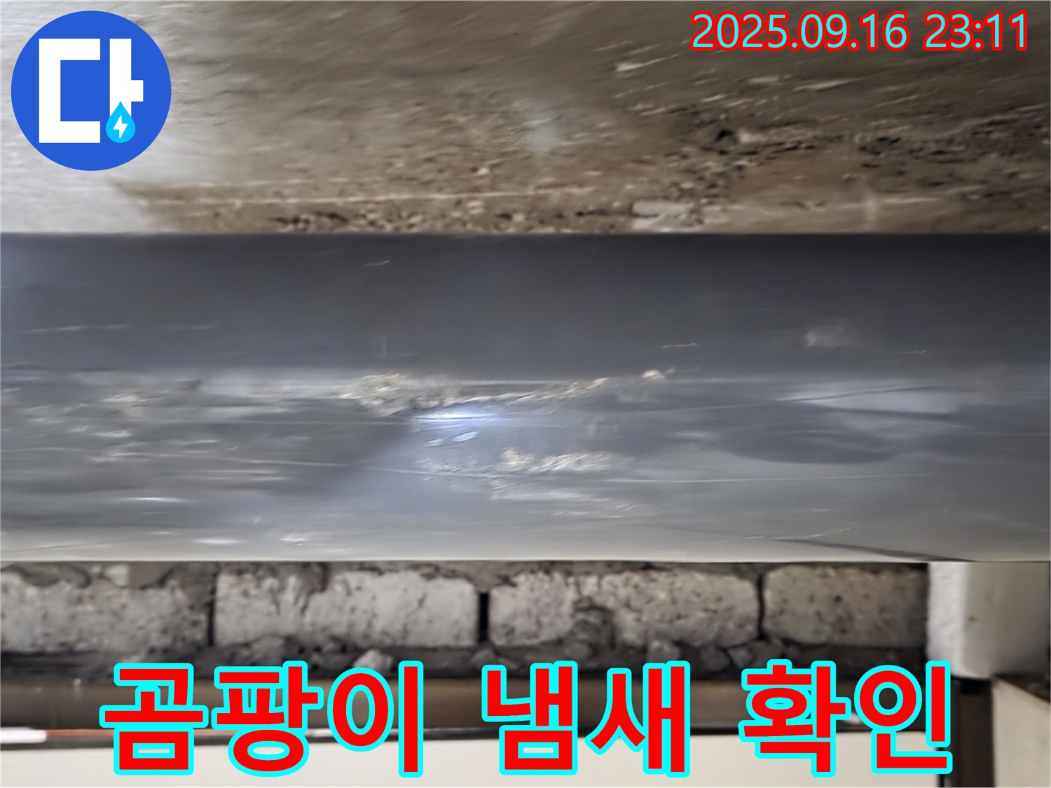 배관 주변 곰팡이 냄새 확인 - 배관 주변에서 곰팡이 냄새가 나는지 확인하고, 누수와의 연관성을 파악합니다.