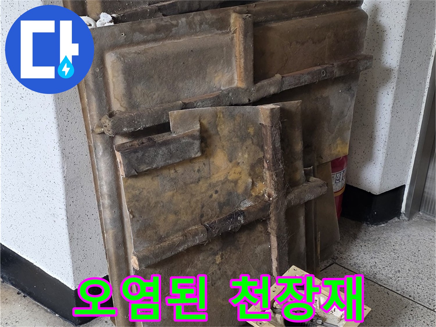 보기에도 끔찍한 오염된 천장재와 조명 - 즉시 폐기