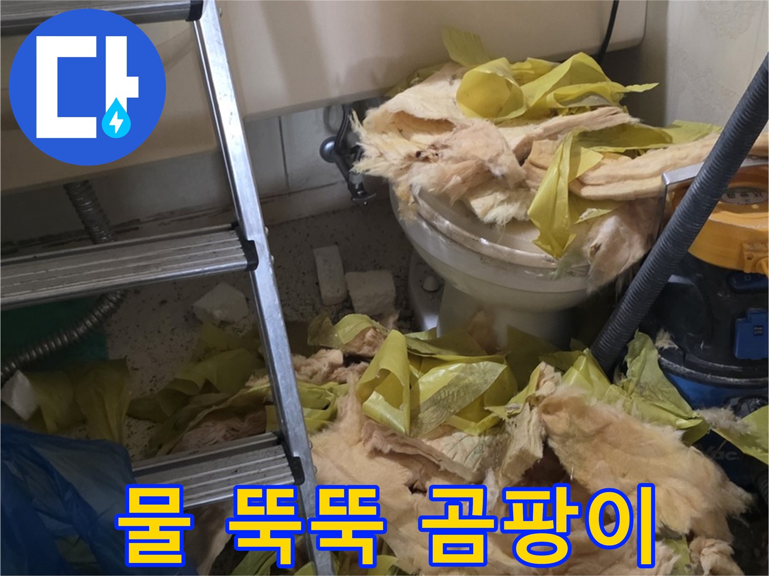 새절 누수 현장 - 물이 뚝뚝 떨어지는 배관과 곰팡이 냄새 - 곰팡이 번식 위험
