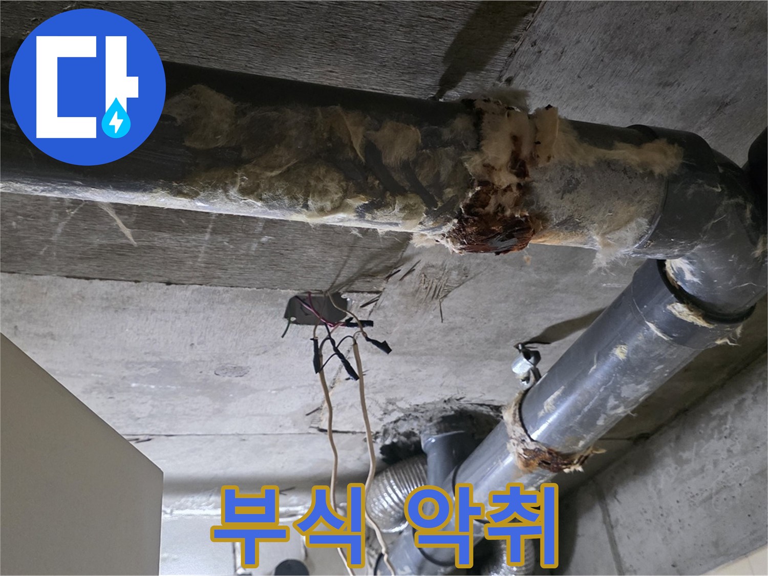새절역 누수 - 오수 배관 부식 악취 원인