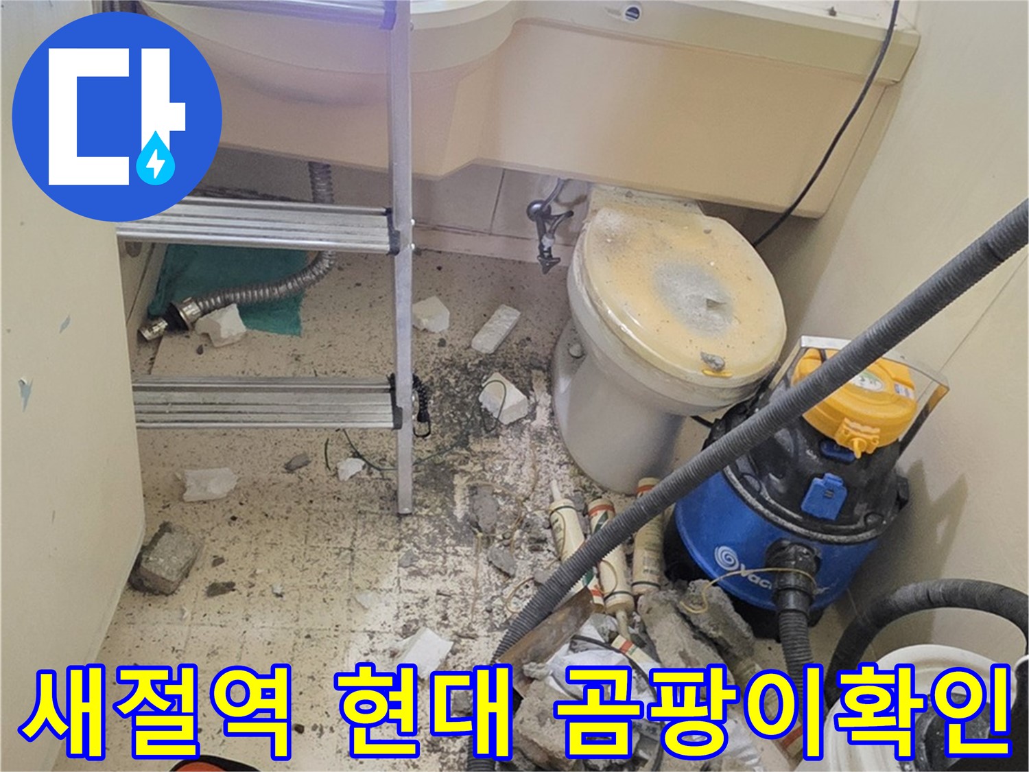 새절역 현대아파트 곰팡이 확인 - 꼼꼼하게 확인