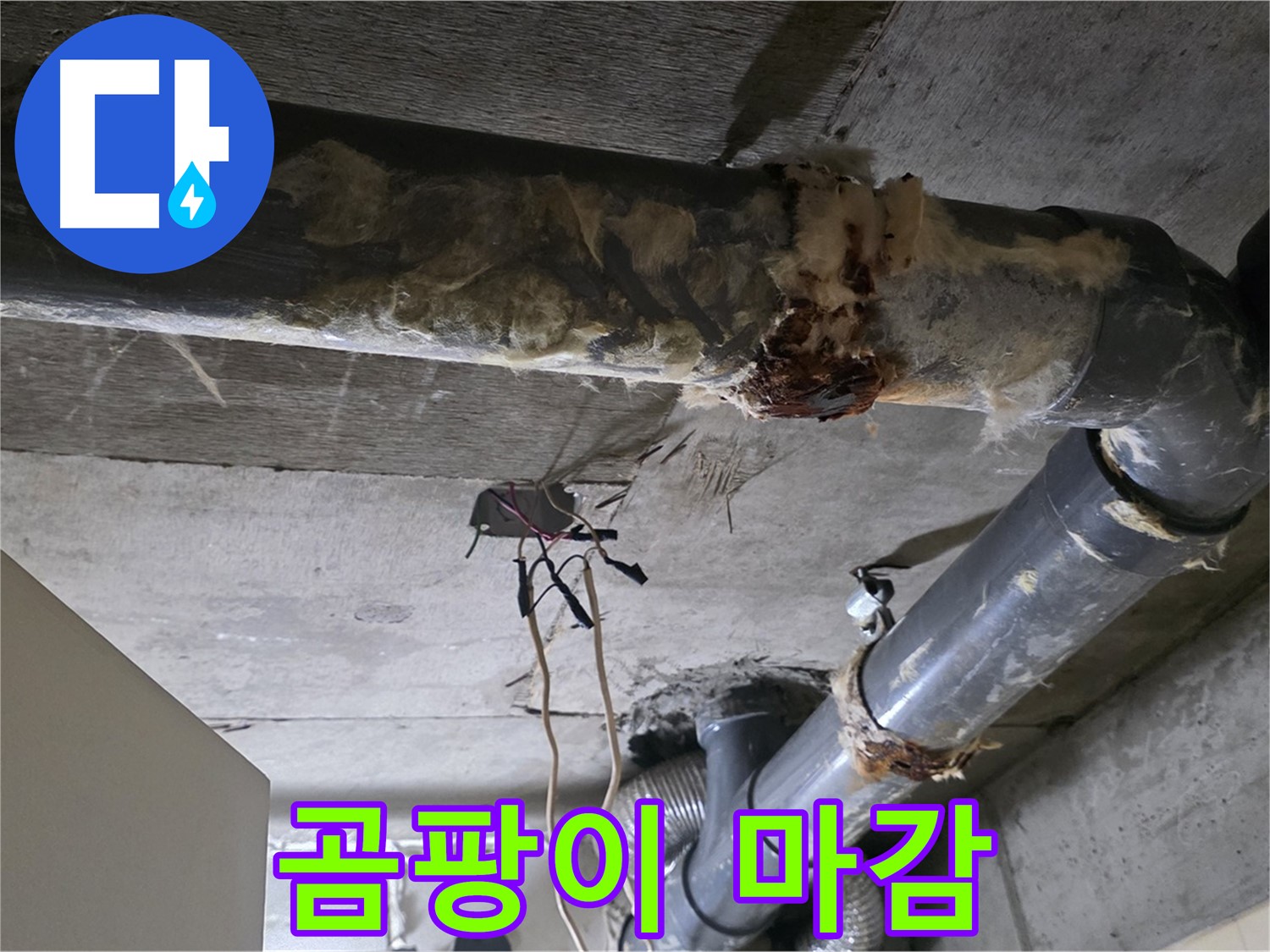 새절역 현대아파트 누수 - 곰팡이 덮친 낡은 마감의 오수 배관 연결 부위 누수