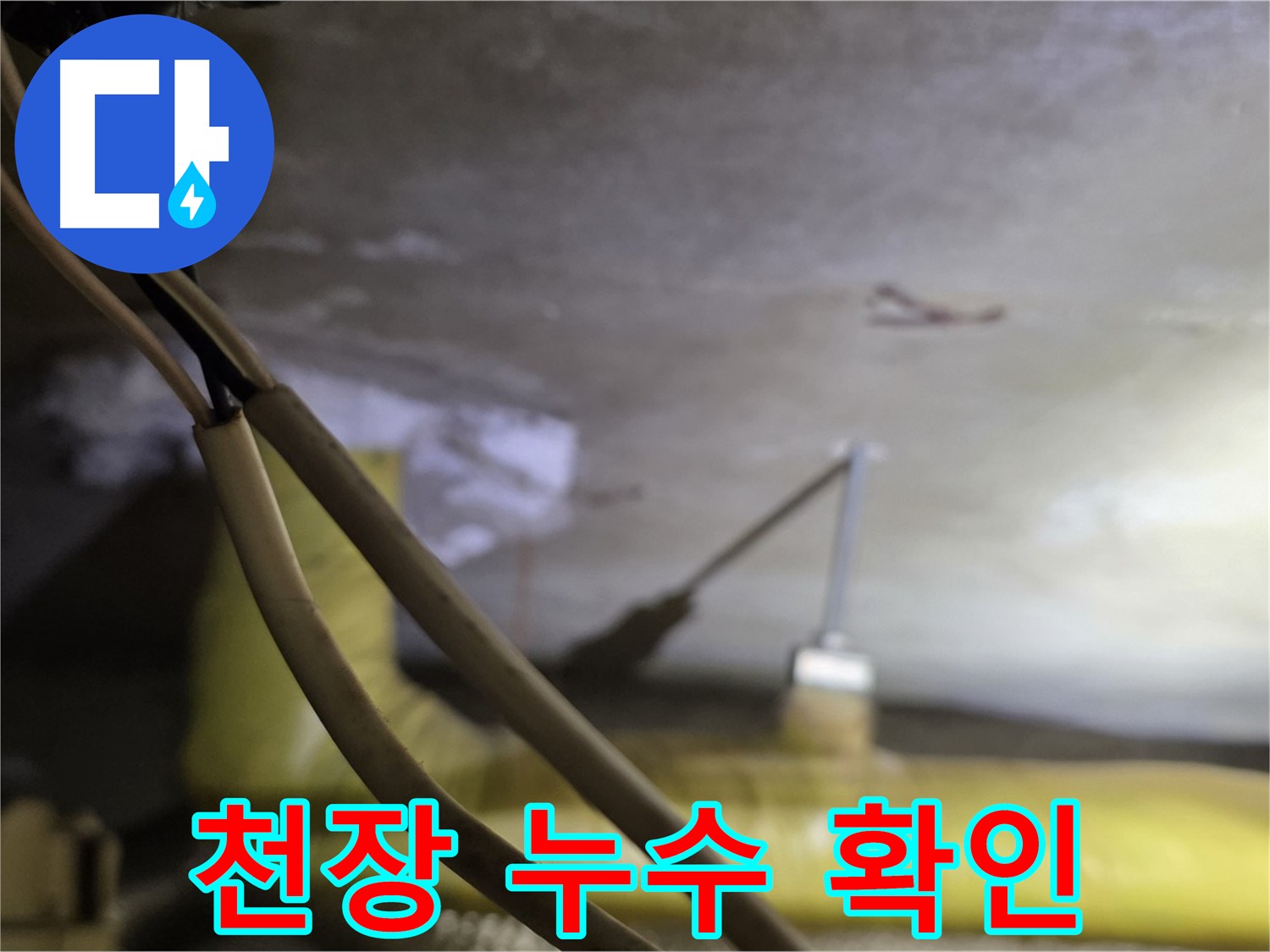 새절역 현대아파트 누수 - 천장 누수 발생 지점 꼼꼼히 확인