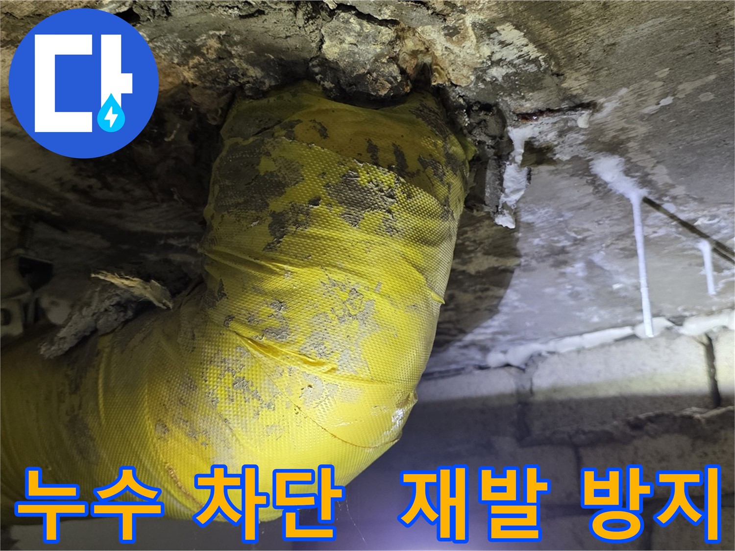 누수 완벽 차단 - 은평구 신사동 누수