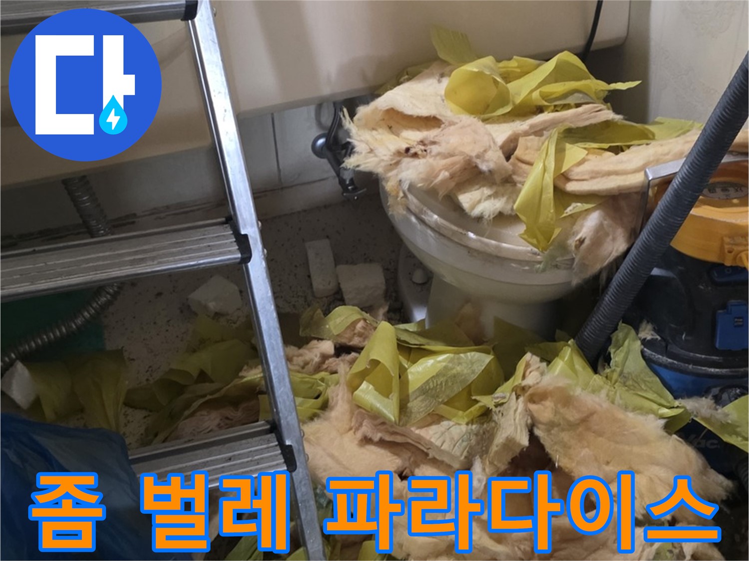 신사동 누수 현장 - 낡은 보온재 속 좀 벌레 서식 - 혐오