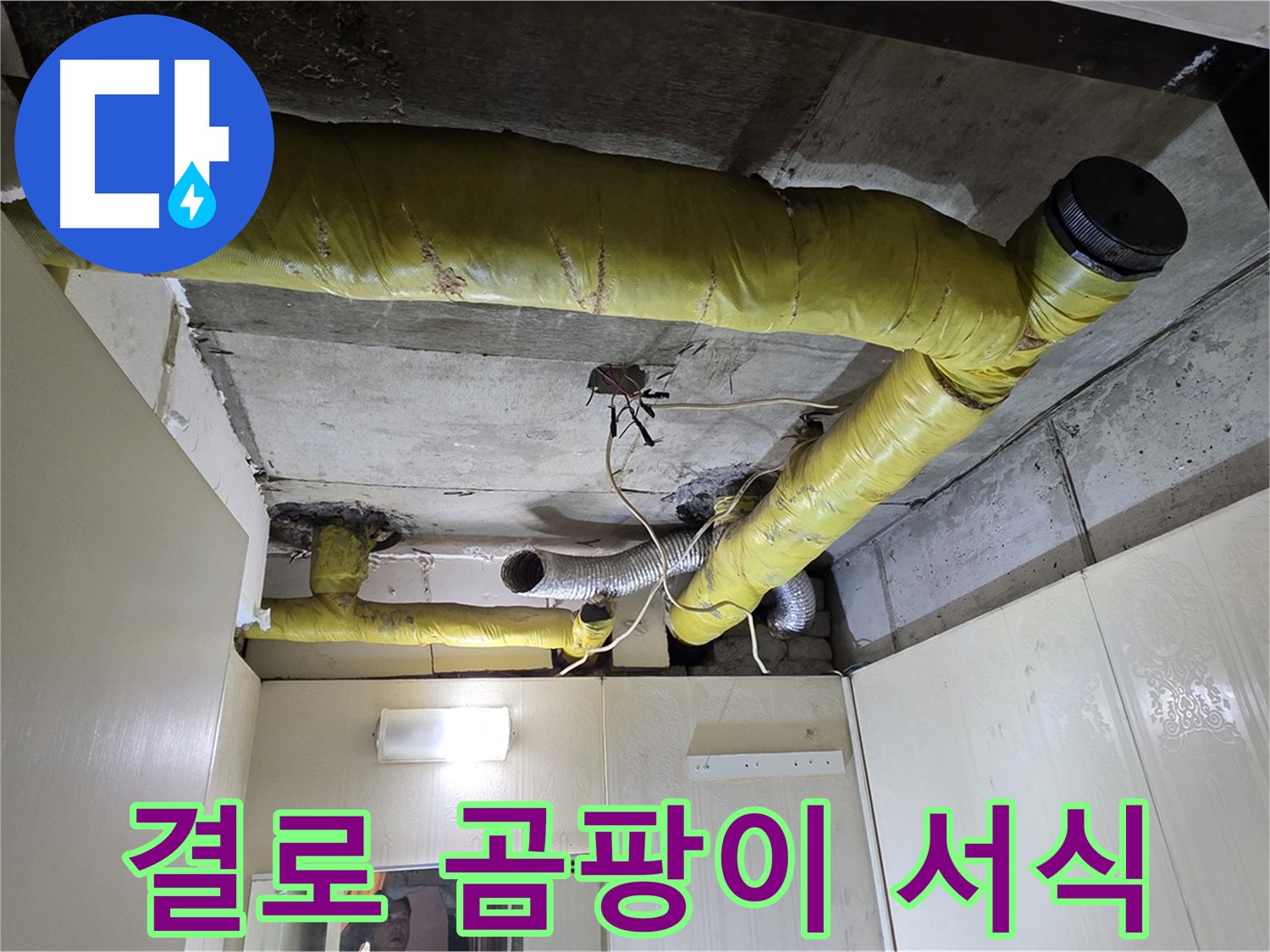 신사동 새절역 현대아파트 - 결로 및 곰팡이