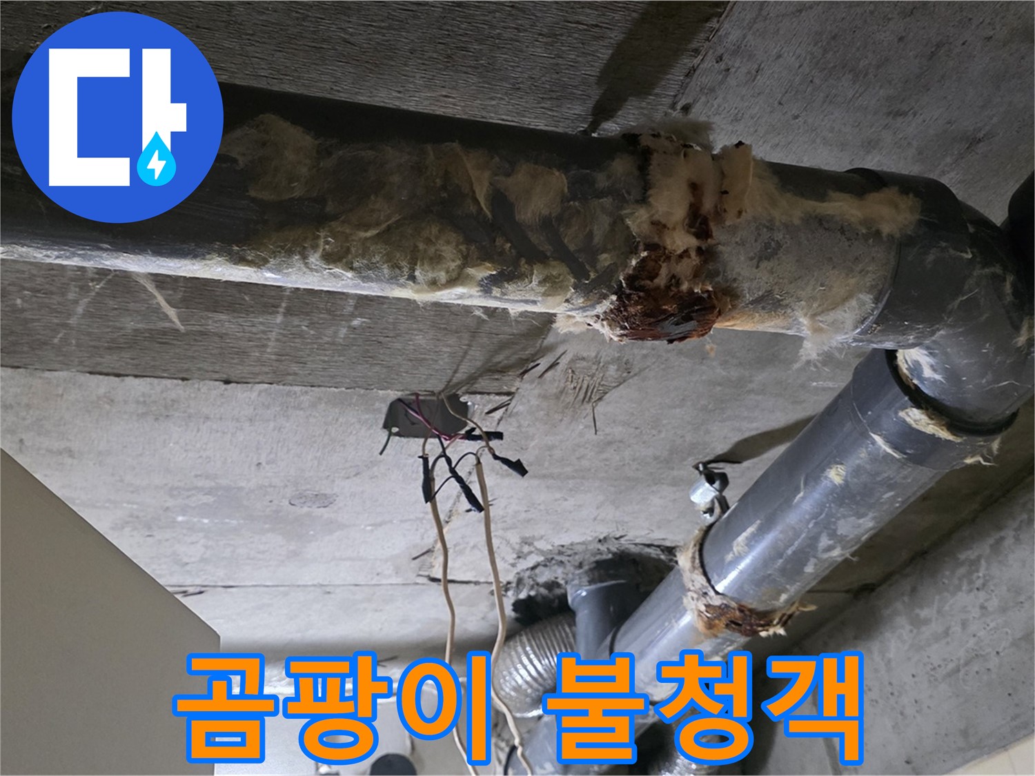 신사동 새절역현대아파트 누수 - 곰팡이와 함께 찾아온 오수 배관 누수
