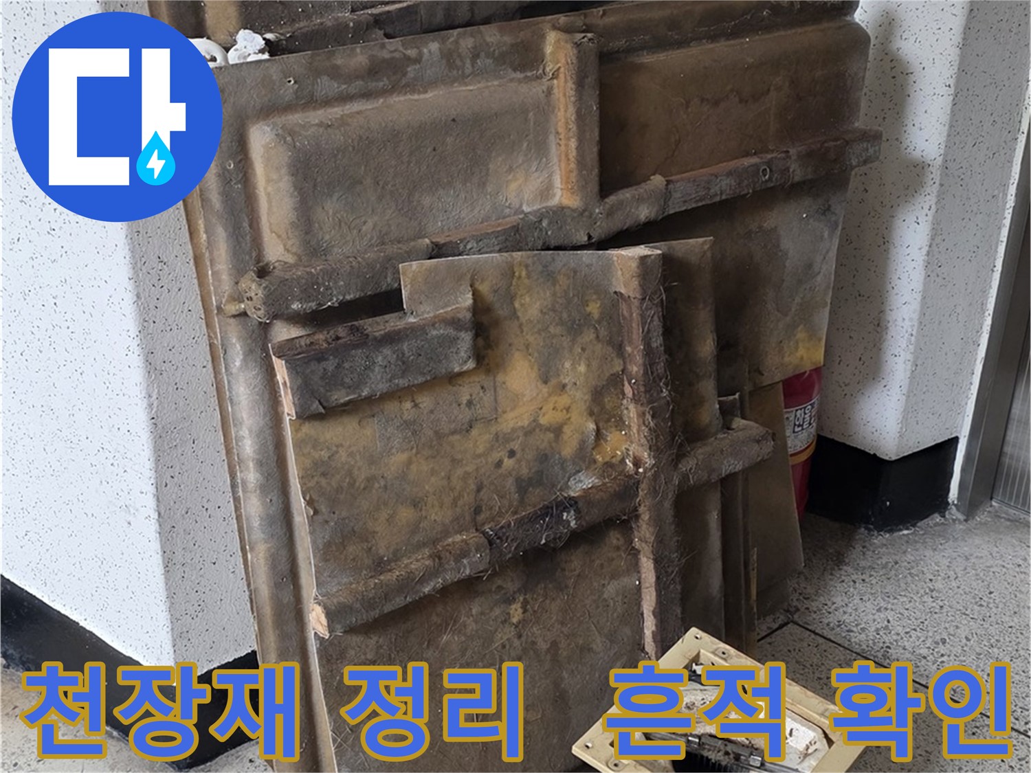천장재와 조명 정리 후 누수 흔적 꼼꼼 확인!