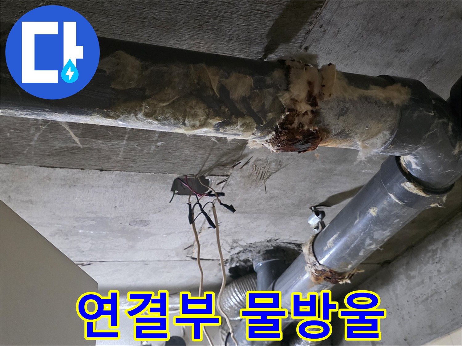신사동 현대아파트 누수 - 오수 배관 연결부 물방울 누수