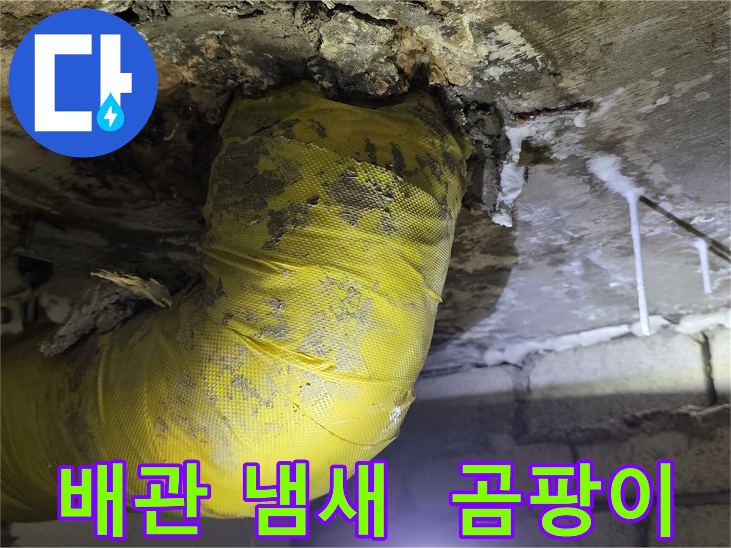 썩어가는 노란 배관 악취 - 은평구 누수, 건강 적신호, 곰팡이 천국, 긴급 점검! 출동 준비 완료!
