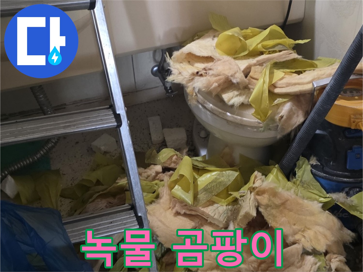 은평구 누수 현장 - 녹물과 곰팡이로 오염된 배관 - 수질 오염 비상