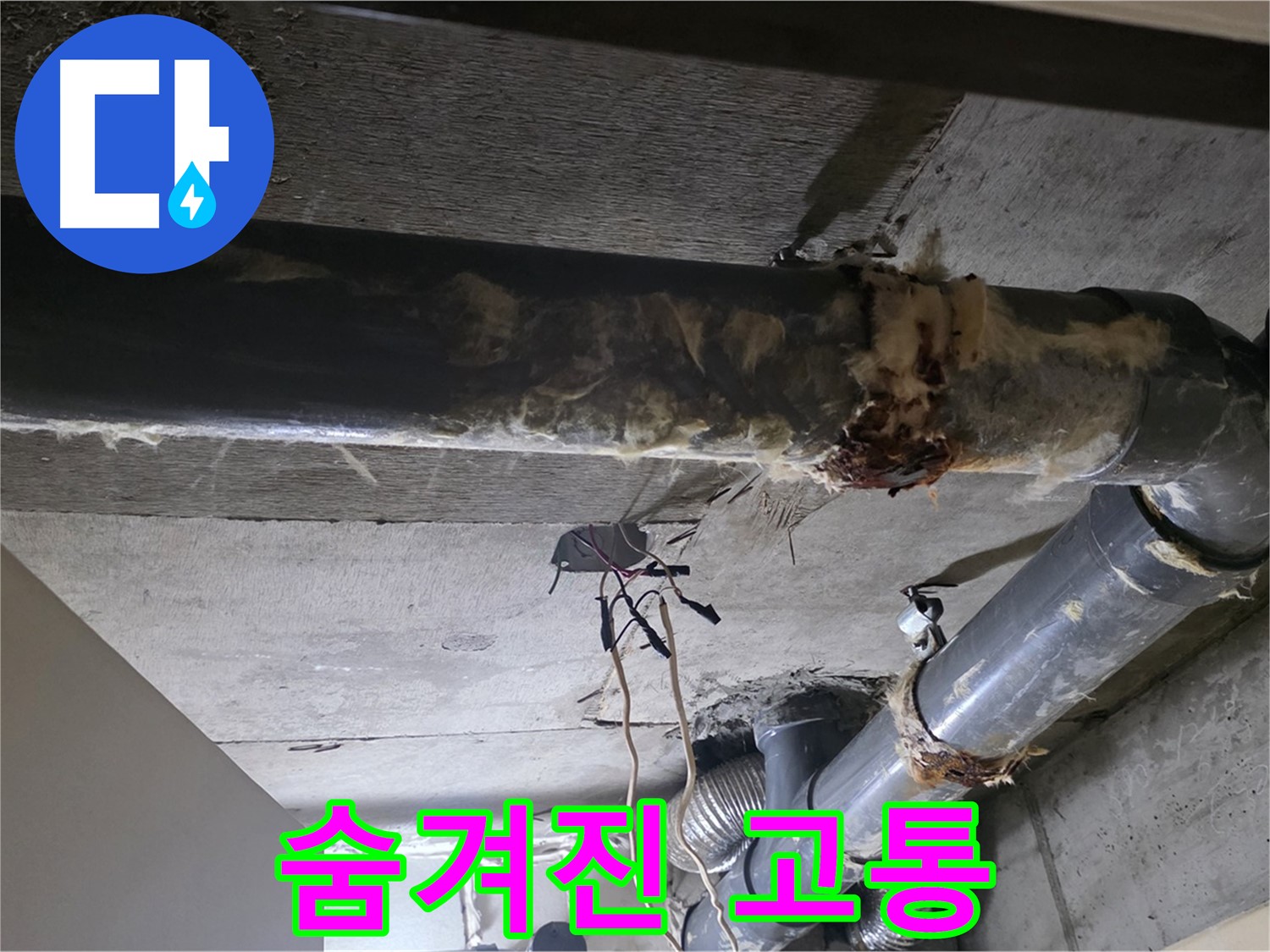 은평구 신사동 - 곰팡이 슨 보온재와 젖은 배관, 숨겨진 고통을 드러내다