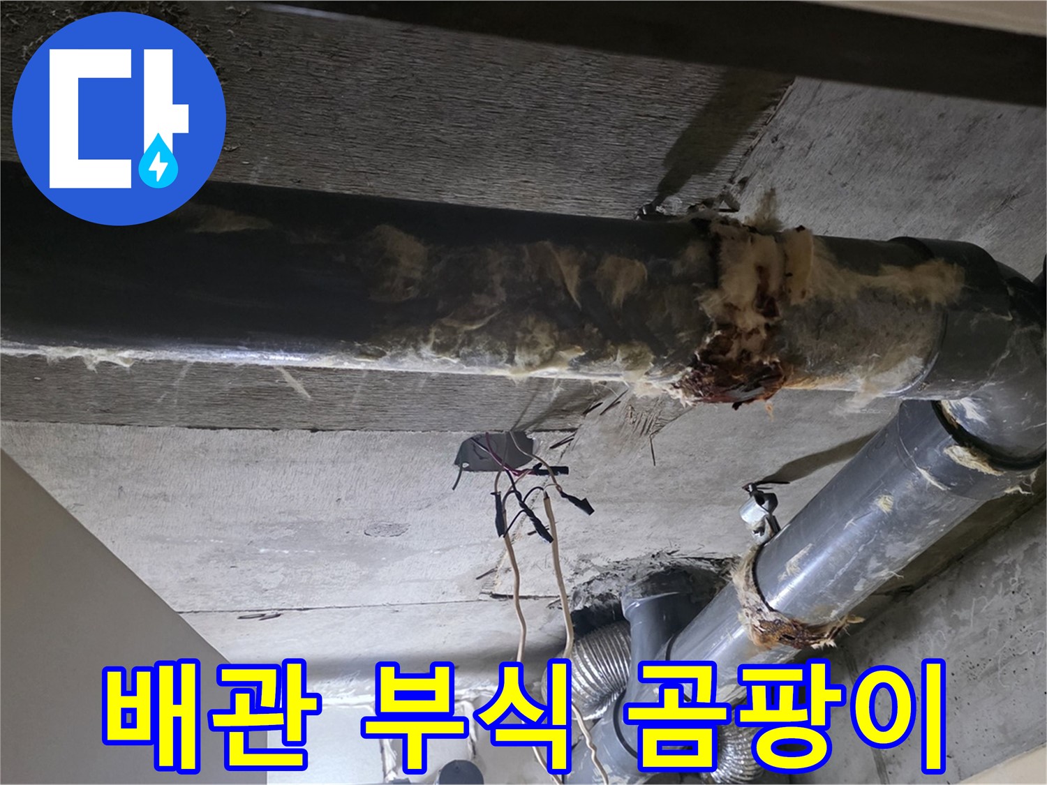 은평구 신사동 - 하수 배관 부식과 곰팡이 슨 보온재의 흔적