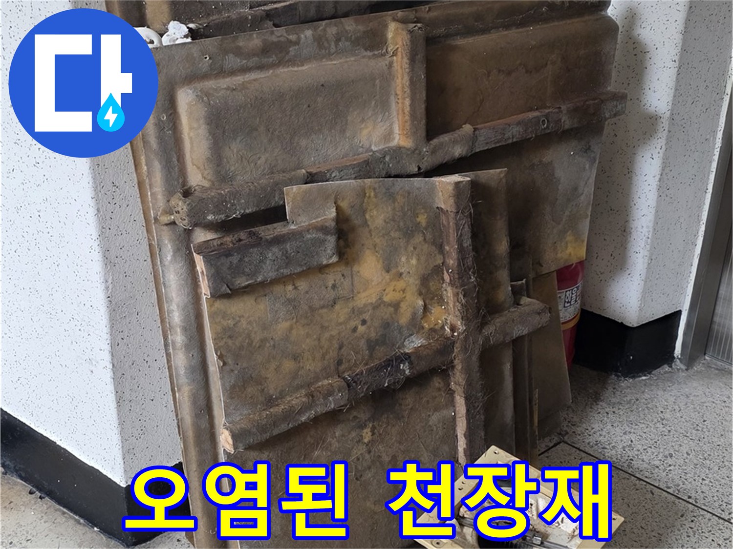 찌든 때와 얼룩으로 가득한 천장재와 조명