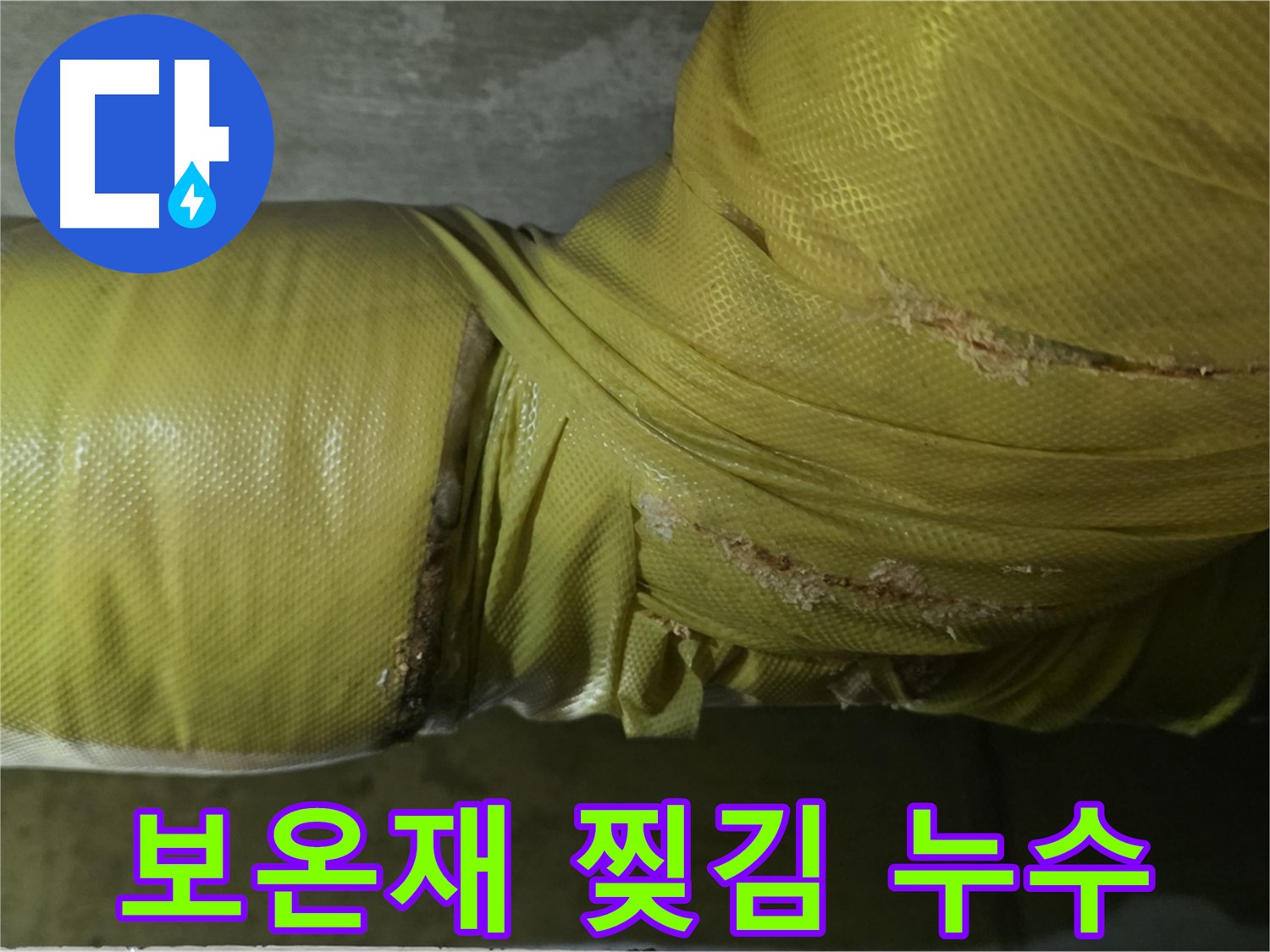 찢어진 배관 보온재 - 누수 초기 증상일 수 있으므로 주의 깊게 살펴봐야 합니다.