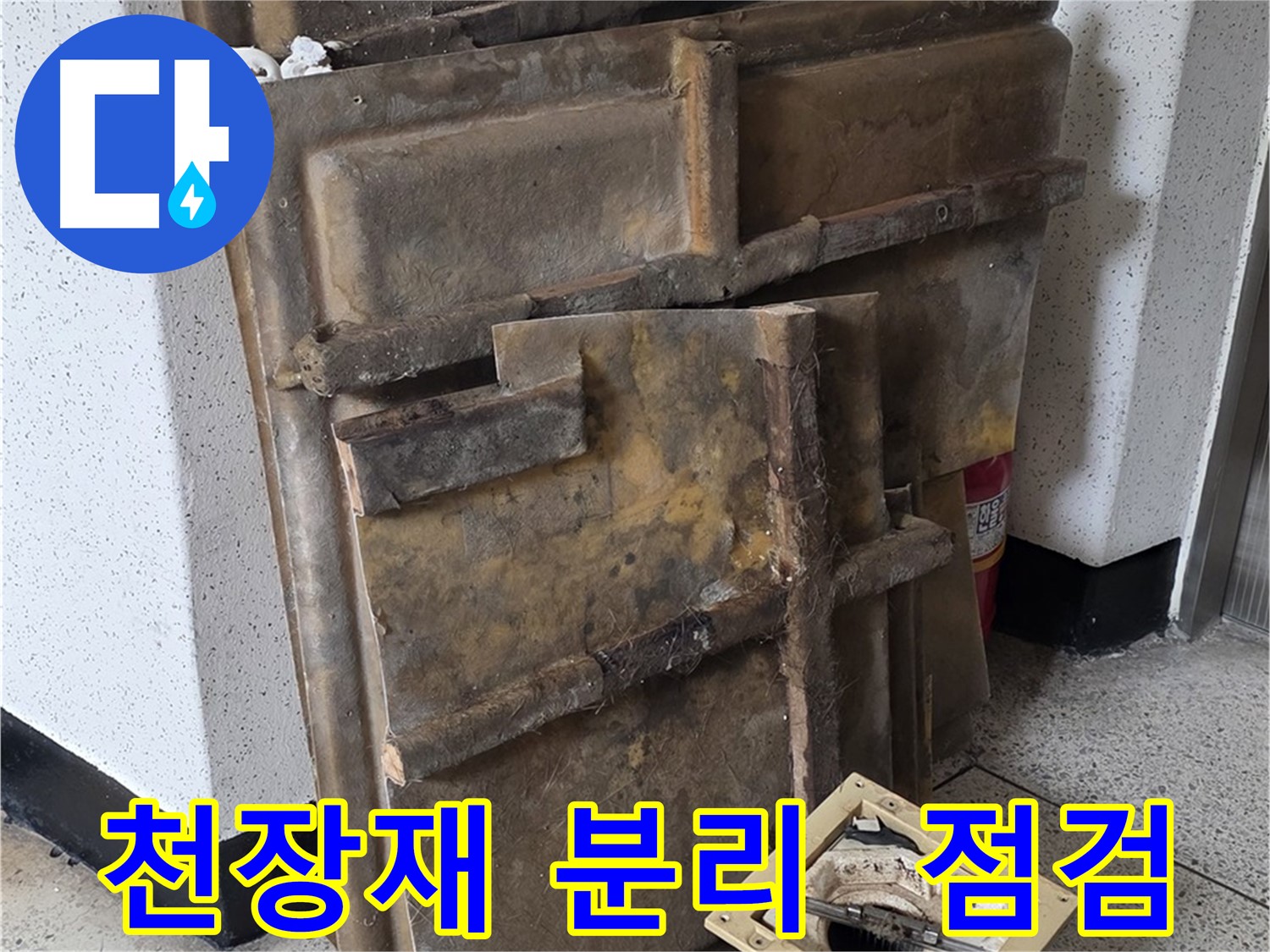천장재 꼼꼼 분리 후 누수 점검 시작