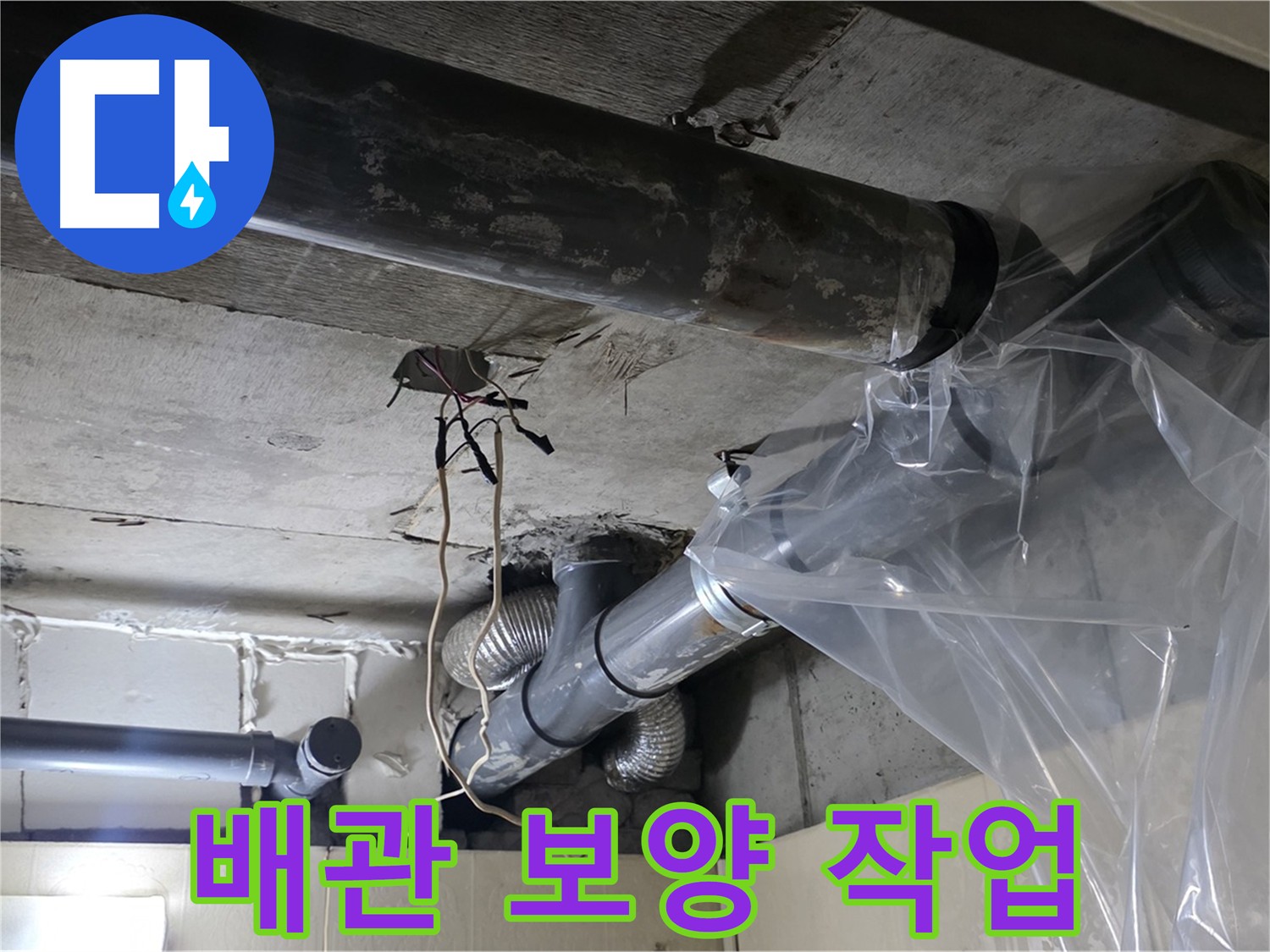 신사동 누수 현장 - 배관 교체 전 오염 방지를 위한 꼼꼼한 보양 작업