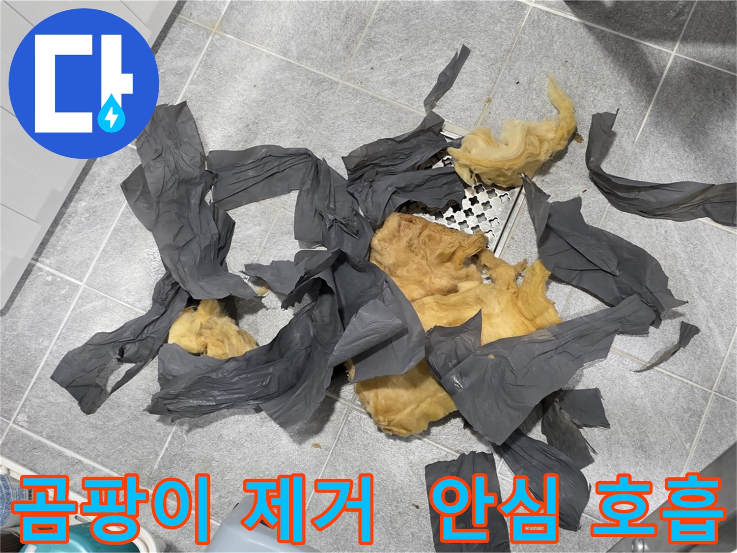 곰팡이 방음재 제거 - 안심하고 숨 쉬세요