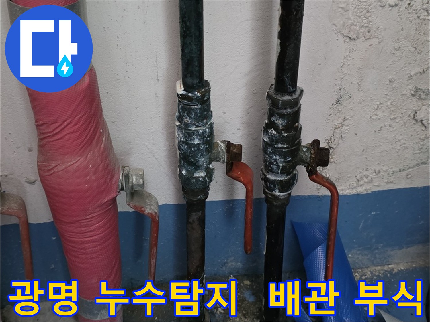 30년 된 아파트 누수 탐지 - 심각한 배관 부식 상태 확인